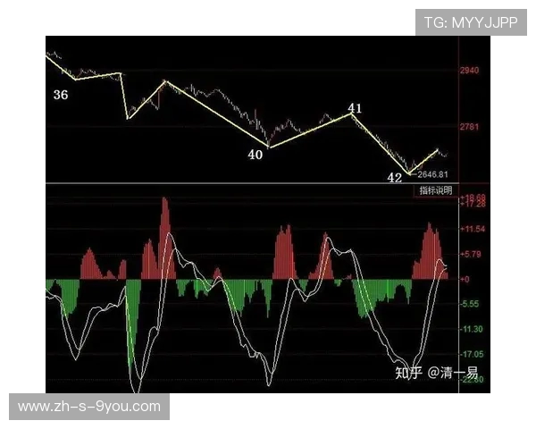 武汉羽毛球队与南京羽毛球队赛后复盘分析比赛节奏与战术对比